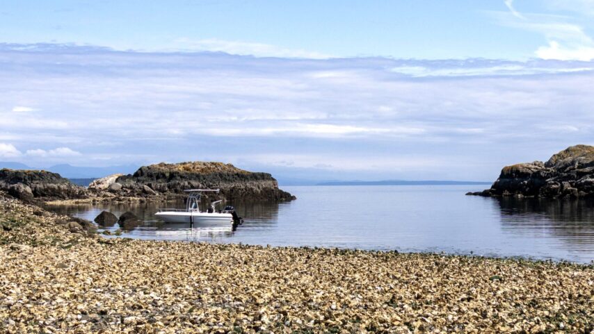 Photo of dinghy at beach landing on Mitlenatch Island