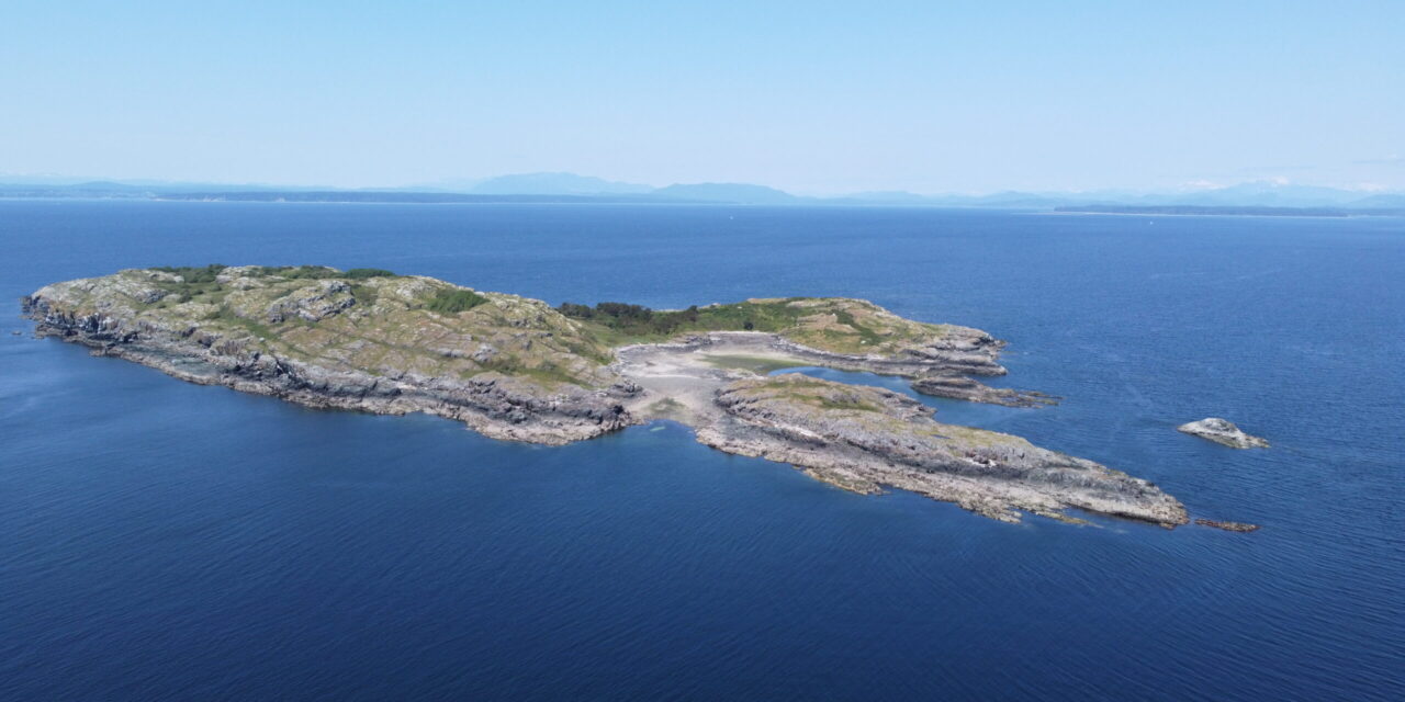 Mitlenatch Island – a Hidden Paradise in Plain View