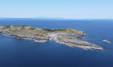 Mitlenatch Island – a Hidden Paradise in Plain View