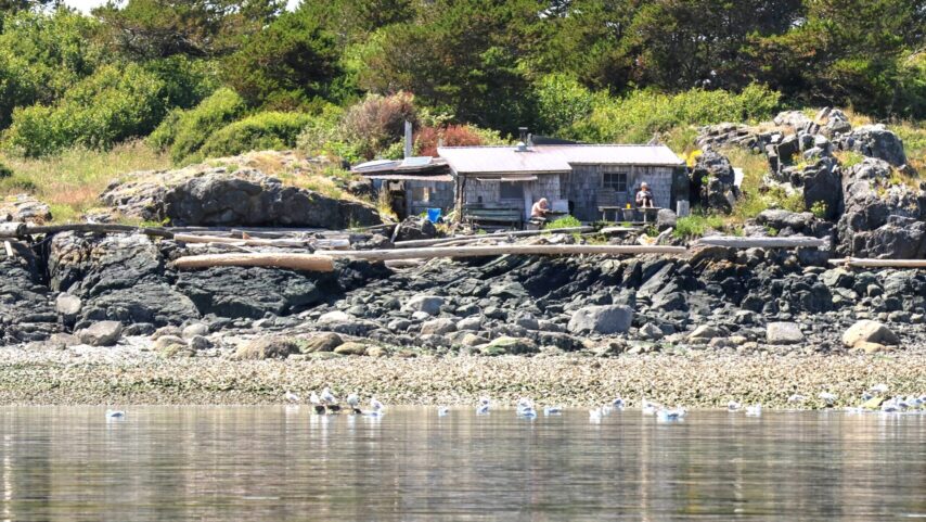 Stewardship cabin on Mitlenatch Island