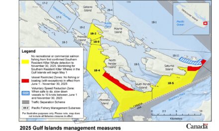 NOTICE: 2025 SRKW Measures in BC Waters