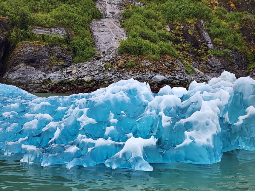 Ice bergs below a waterfall in Le Conte Bay