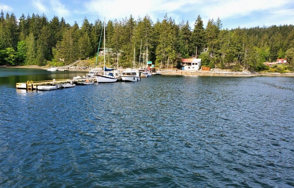 Quirky Finds on Cortes Island