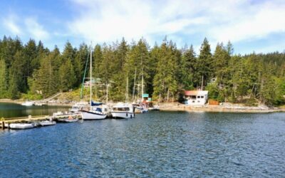 Quirky Finds on Cortes Island