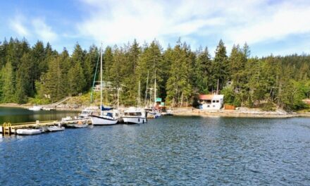 Quirky Finds on Cortes Island