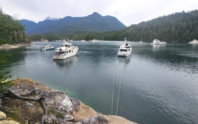 Stern-tie Lessons at Prideaux Haven