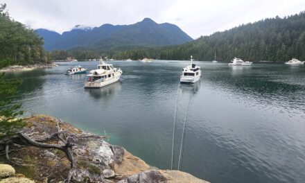 Stern-tie Lessons at Prideaux Haven