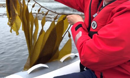 World Ocean, A Report from Around the Americas