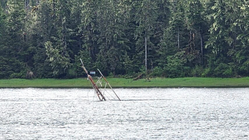 Mast of a sunken vessel in the Wrangell Narrows