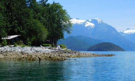 Toba Wilderness, a Rugged Beauty