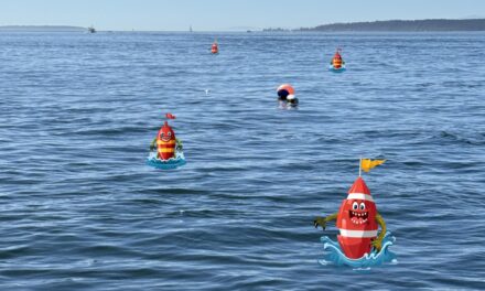 Trap of Delectables or Vision of Land Mines?