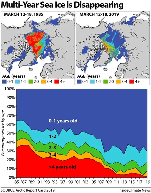 Diagram of Multi-Year sea ice disappearing