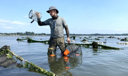 Green Crab Management Update