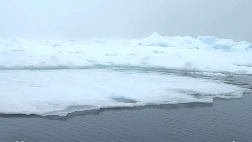 Wall of ice, looking for leads