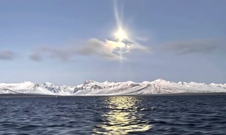 Acts of Service – Around the Americas