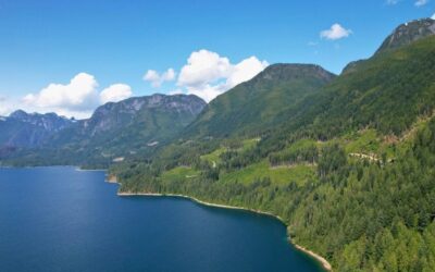 Join the Campaign to Protect 100 Acres at Prideaux Haven!