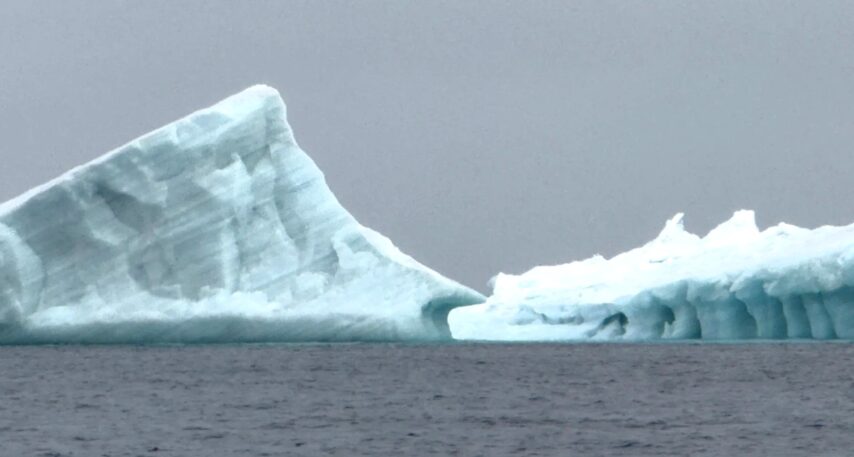 Icebergs seen in the Northwest Passage