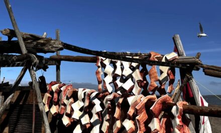 Muktuk in Tuktoyaktuk – A Taste of the Arctic