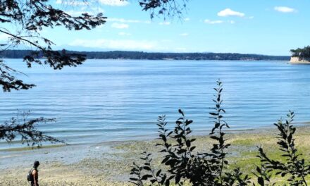 New Identity for Kopachuck State Park