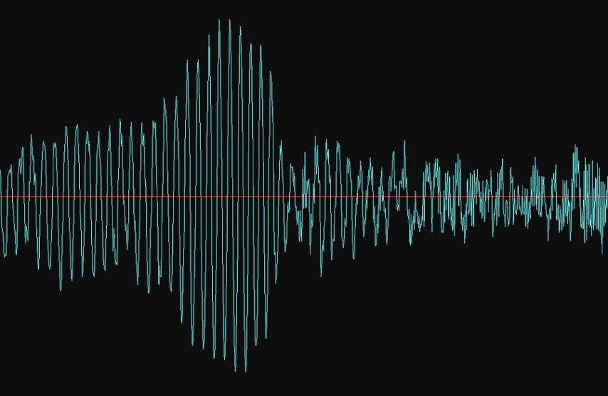 Image of recorded whale sound