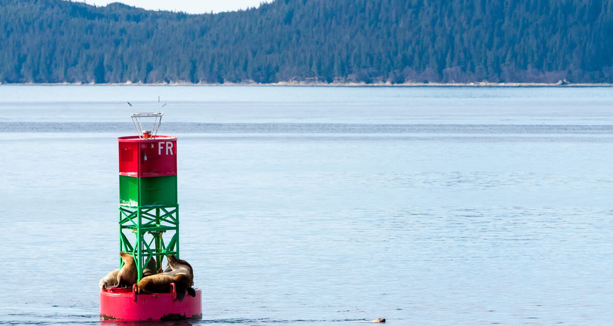 Rules and Aids to Navigation Online Course