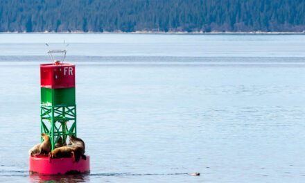 Rules and Aids to Navigation Online Course