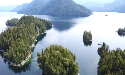 Cruising the Broughton Region of BC