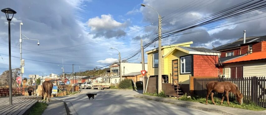 Photo of Puerto Williams with wild horses grazing on the grass-lined streets