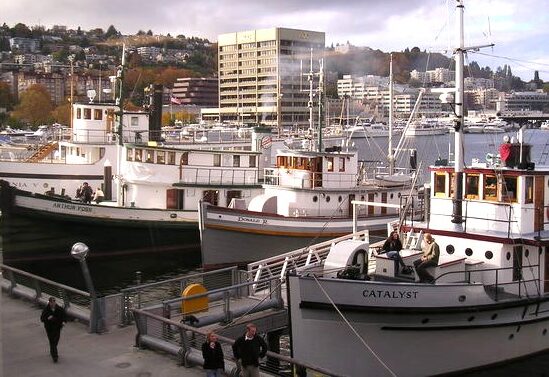 Photo of several tugboats to tour