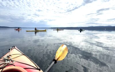 Best of Hood Canal – Come See, Come Do!
