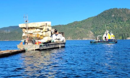 Foam Turn-in Event for Sunshine Coast Dock Owners