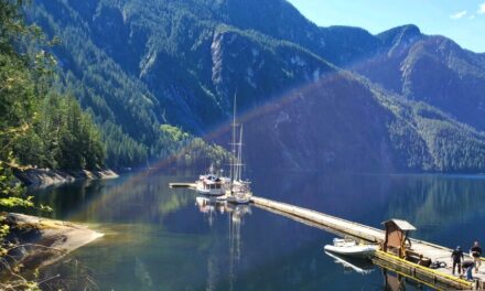 Princess Louisa Dock Temporarily Closed