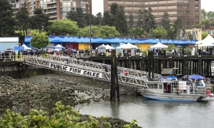 Spot Prawn Festival, Vancouver BC – May 31, 2026